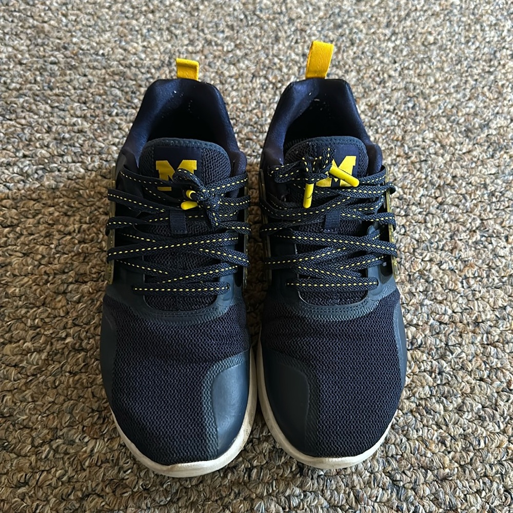 Men’s Air Jordan Jumpman University of Michigan Tennis Shoes